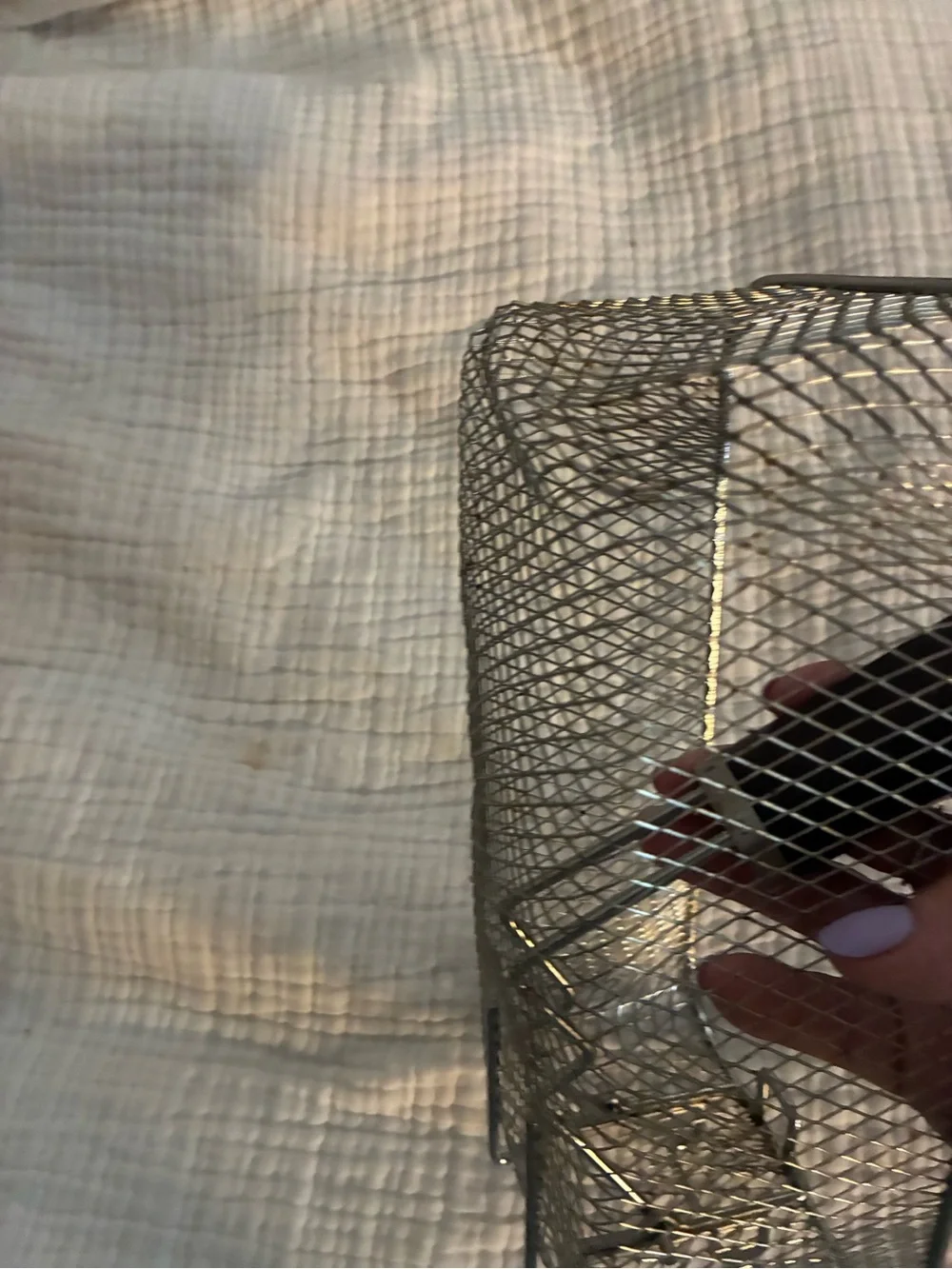 Black Handle Stainless Steel Fry Basket - Home Kitchen